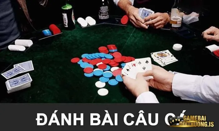 Cách chơi bài câu cá chi tiết nhất