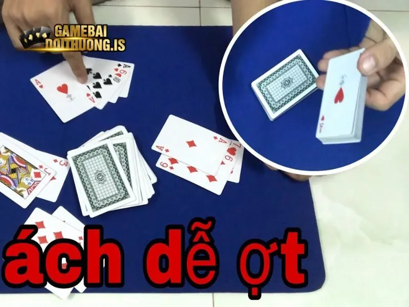 Bài câu cá V8 thú vị và mới lạ