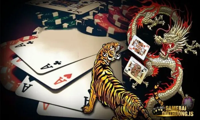Rồng Hổ Mayclub Các cửa cược chính trong trò chơi Rồng Hổ của Mayclub