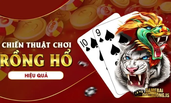 Rồng Hổ Ric Rèn luyện kỹ năng soi kèo hiệu quả