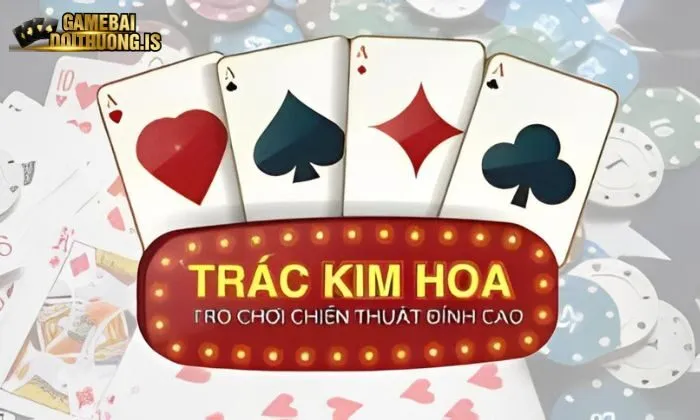 Chiến thuật đặt cược Trác Kim Hoa đỉnh cao