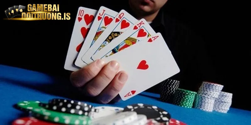 Đa dạng các bàn cược hấp dẫn