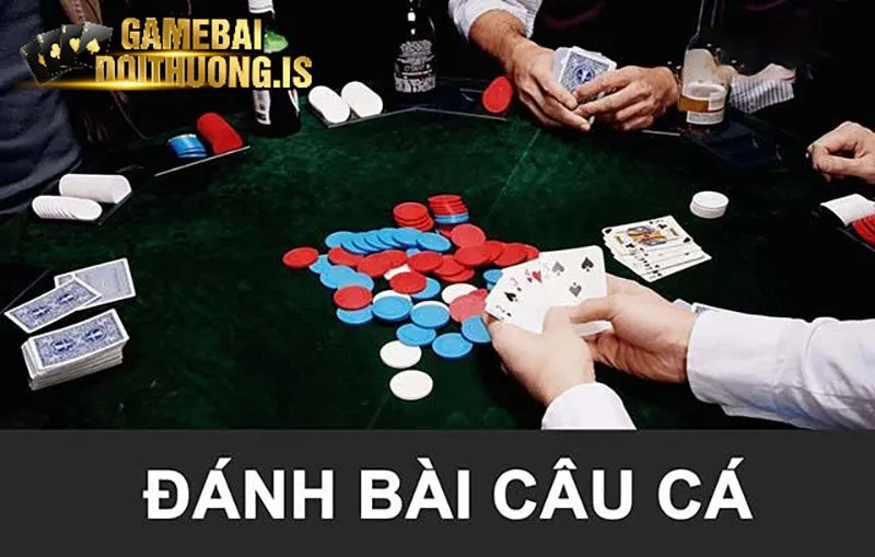 Cách chơi game bài câu cá online
