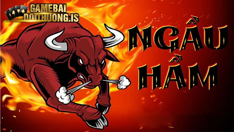 Hiểu về cổng game bài ngầu hầm tại Nhatvip